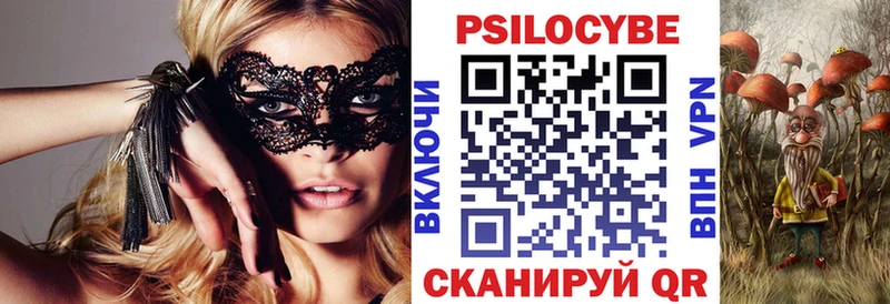 Галлюциногенные грибы Psilocybe  Катайск 